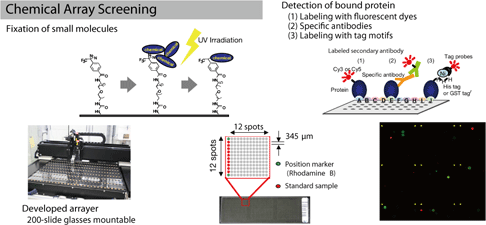 Chemical Array Screenin