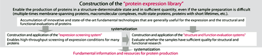 construction of the "protein expression library"