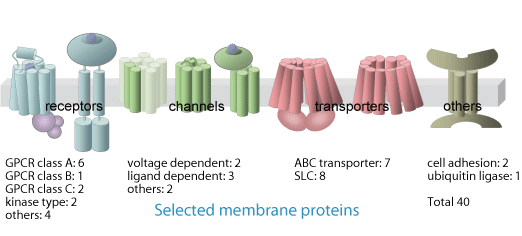 Selected membrane proteins