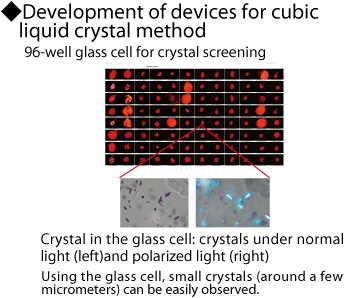 Development of device fro cubic liquid crystal method