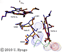 Hyogo University