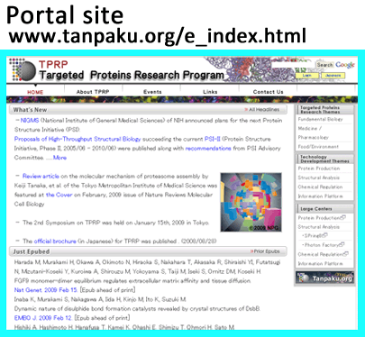 3. Portal site