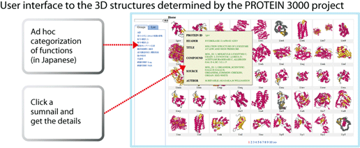 6. User interface to the 3D structures determined by the PROTEIN 3000 project